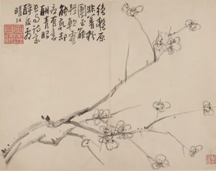 Álbum de ciruelo en flor, 1742