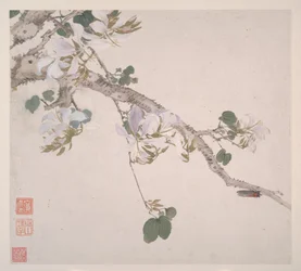 Insectos y flores, fechado en 1865 (álbum de ocho hojas; tinta y color sobre papel)