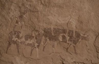 Ganado y figuras humanas, pintura rupestre, Oued en Djeran, Cerca de Djanet, Tassili n