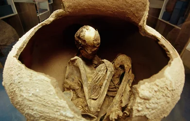 Momia en una urna de cerámica. Civilización de Atacama, Paleolítico.