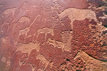 Namibia, Área Silvestre de Damaraland, Twyfelfontein, Montañas Brandberg, grabados rupestres de la Edad de Piedra