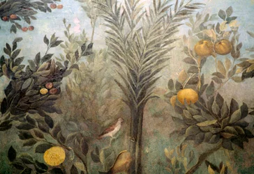 Granado, detalle de un fresco que representa un jardín con árboles frutales y aves, de la Casa de Livia en el monte Palatino, Roma, Italia. Civilización romana