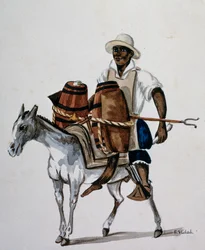 Joven mestizo peruano con su mula