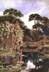 Un viejo muro y jardín acuático