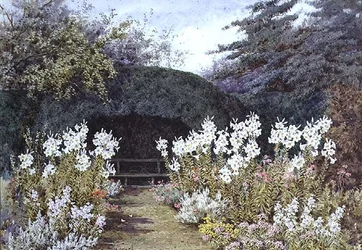 Lirios de Pascua en el jardín