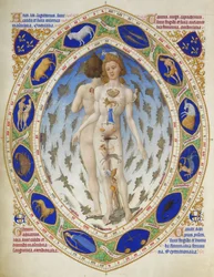 Très Riches Heures del duque de Berry: Hombre anatómico