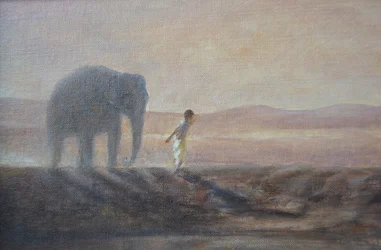 Niño y elefante