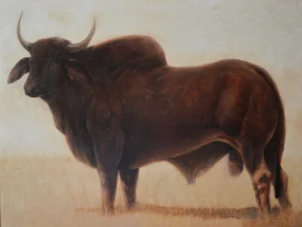 Toro Brahmán