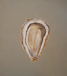Ostra 1