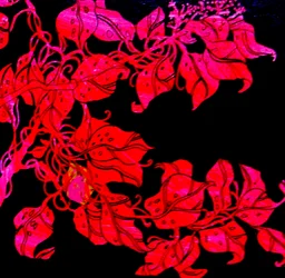 Rojo para la hermana de William, 2017 (técnica mixta)