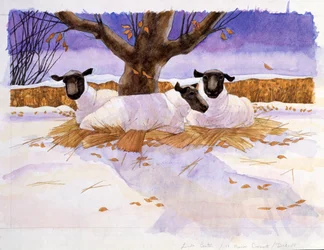 Ovejas en la nieve
