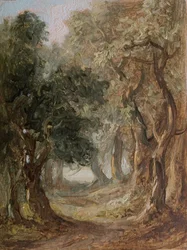 Arboleda