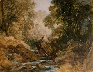 Arroyo de montaña y rocas, [siglo XIX]