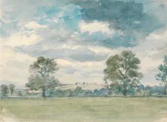 Paisaje de verano