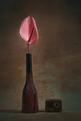 Elegante anturio y radio