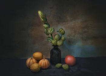 Naturaleza muerta de «Moody Harvest»