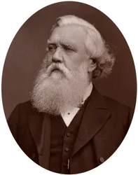 El Honorable Austen Henry Layard DCL, Embajador Británico en Constantinopla, 1877