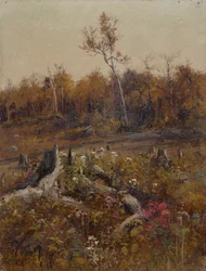 Paisaje
