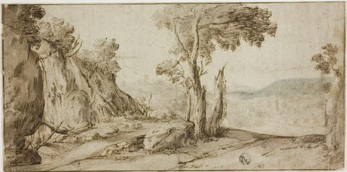 Rocas y árboles en el borde de la colina