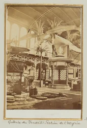 Galerie du Travail, Sección Argelia