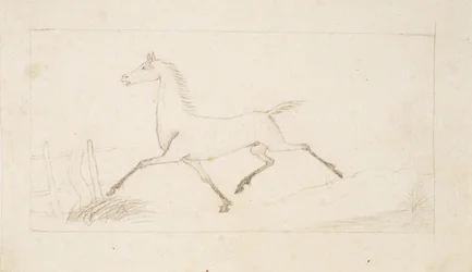 Un caballo al trote