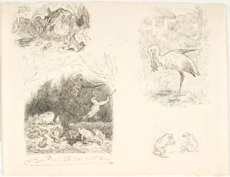 Cuatro bocetos para ilustraciones de La rana, Nuevos cuentos y relatos de H.C. Andersen