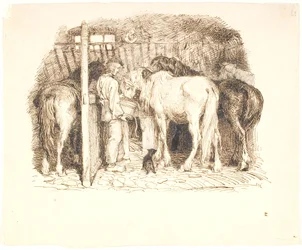 Caballos en un establo bebiendo agua de un mozo