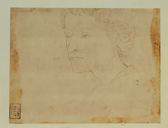Retrato de un niño con el pelo rizado, tres cuartos hacia la izquierda ...