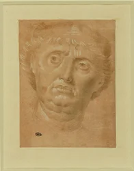 Retrato de hombre, cara completa, ojos girados a la izquierda ...