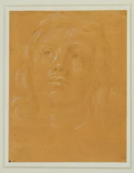 Retrato de un joven, de cara, mirando hacia arriba ...