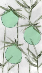 Resumen: Green Botanicals