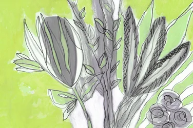Productos botánicos frescos y verdes