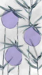 Frutas botánicas de color morado