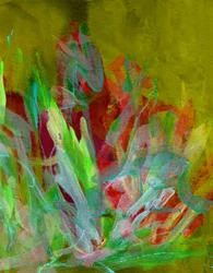 Crecimiento abstracto y vibrante