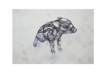 Cerdito, 2015