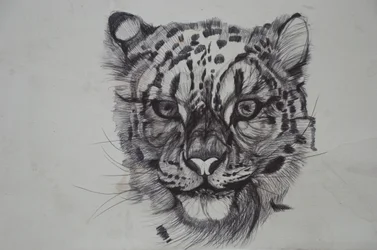 Leopardo de las nieves