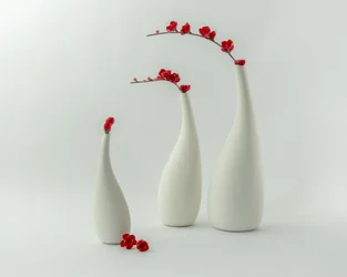 Jarrones rojos y flores