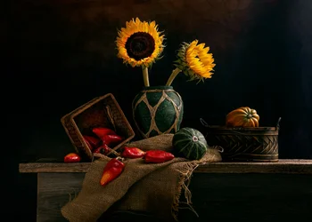 Cosecha rústica de girasoles