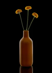 Jarrón marrón «Warm Flowers»