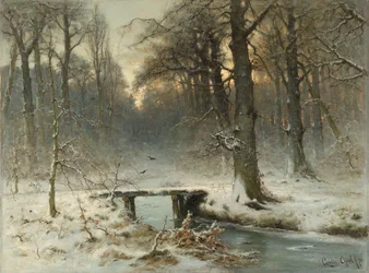Una tarde de enero en el bosque de La Haya