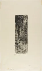 Pinos caídos