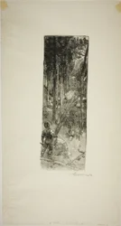 Pinos caídos