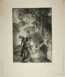 Quemadores de helechos en el bosque