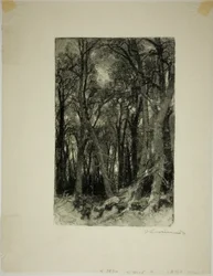Invierno: Bas-Bréau