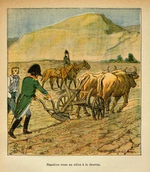 En Santa Helena, el emperador Napoleón traza un surco con el arado, del libro 
