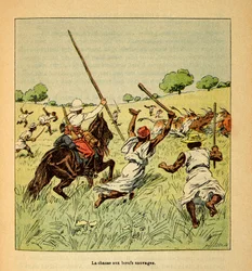 La guerra en Madagascar-Historia anecdótica de las expediciones francesas de 1885-1895 por Henri Galli, ilustrado por Louis Bombled: La caza de bueyes salvajes en Madagascar en 1895, Colección privada