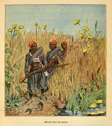 La guerra en Madagascar-Historia anecdótica de las expediciones francesas de 1885-1895 por Henri Galli, ilustrado por Louis Bombled: Tropas francesas en expedición en los pantanos de Madagascar en 1895, Colección Privada