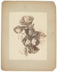 Estudios Tiffany, c.1898-1920 (fotografía b/n)