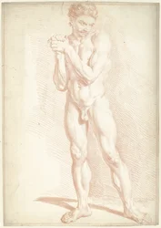 Hombre desnudo, de pie