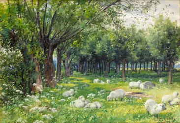 Ovejas en un huerto en primavera